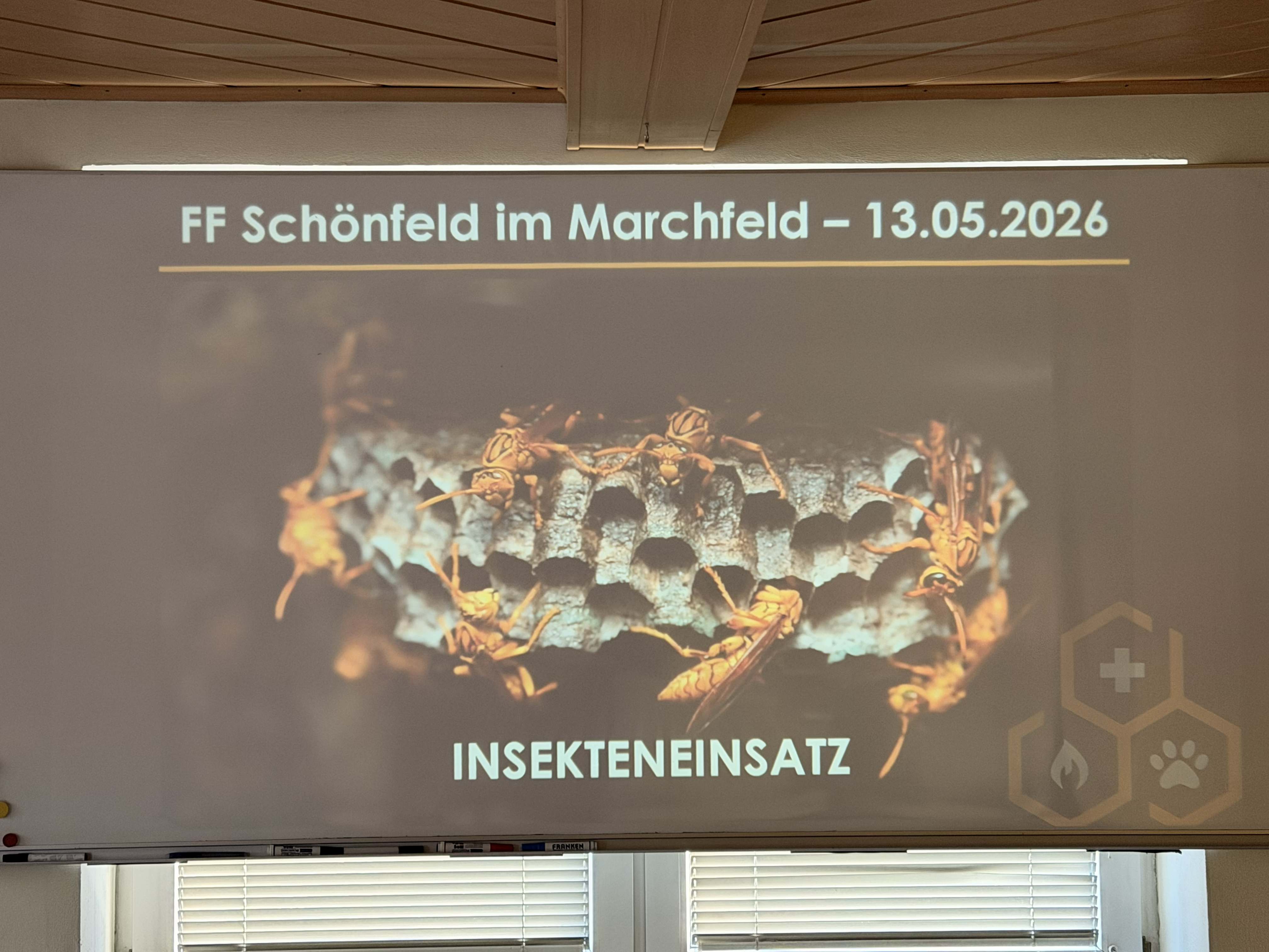 Ereignisreiche Woche
