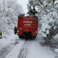 T1 Baum umgestürzt/Zeltplane drohte zu reißen