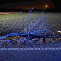 T2 Vu Lassee Breitensee004