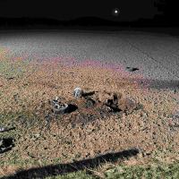 T2 Vu Lassee Breitensee010