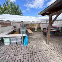 Fffestt006