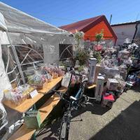 Fffestt023