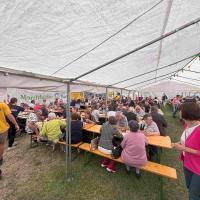 Fffestt041