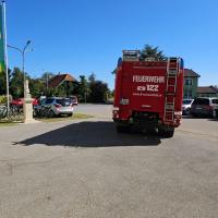 Fffestt049